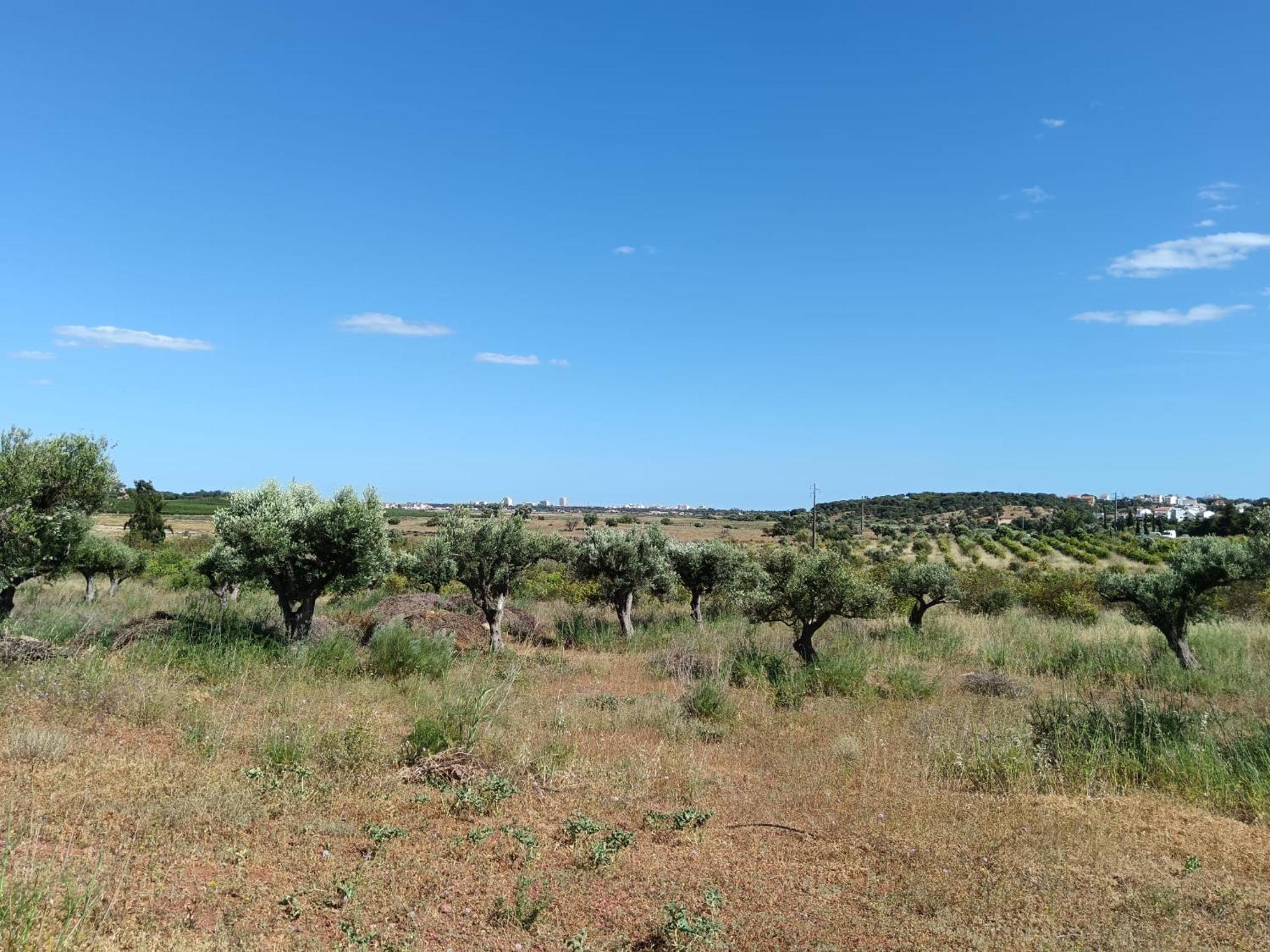 Willa Quinta Da Fornalha - Santuario Agroecologico Castro Marim Zewnętrze zdjęcie