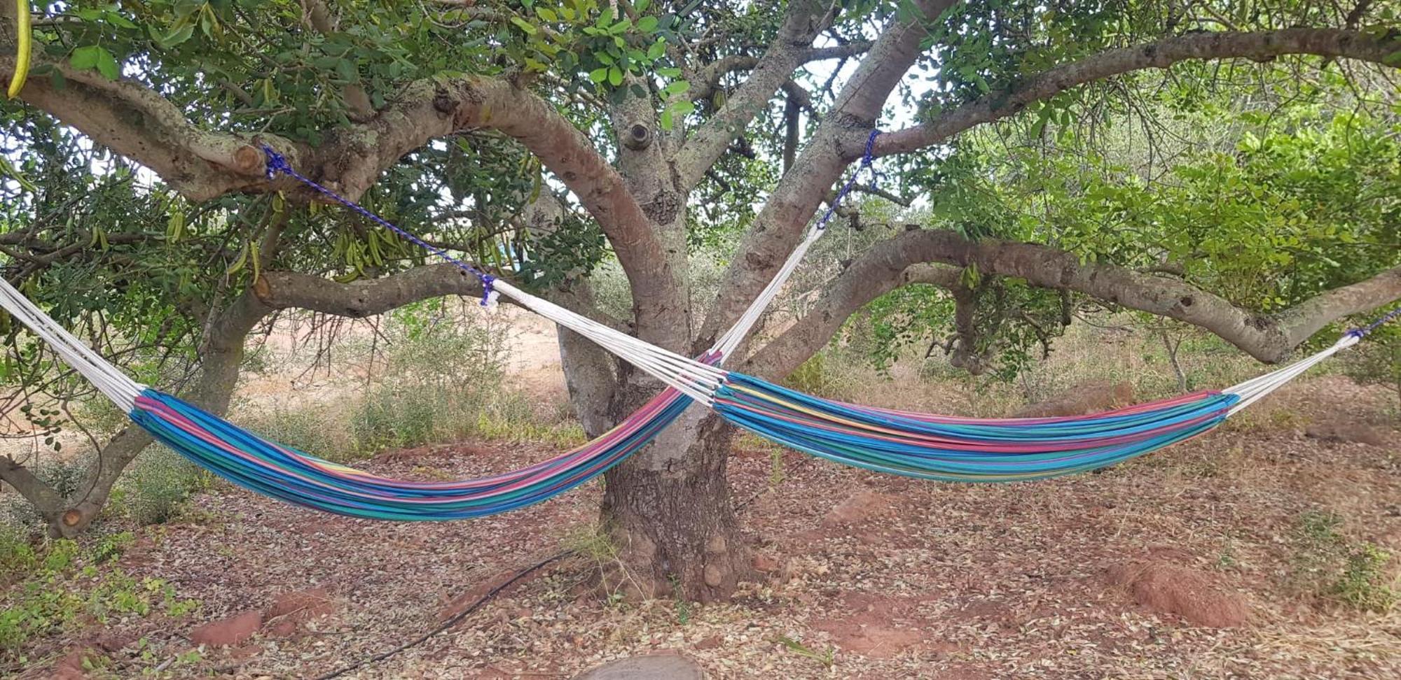 Willa Quinta Da Fornalha - Santuario Agroecologico Castro Marim Zewnętrze zdjęcie